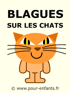 Blagues et devinettes sur les chats. Dessin d'illustration sur le thème.
